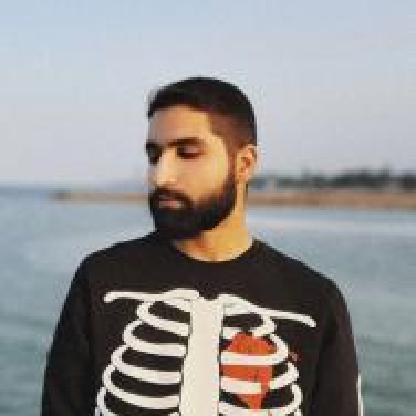 DedAmirreza's avatar