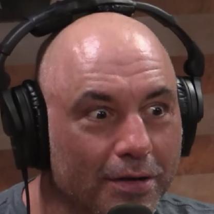 dogepettter's avatar