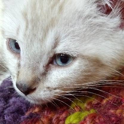 Winifred_Willow's avatar
