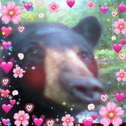 kiseakakise's avatar