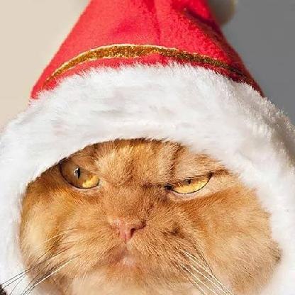 HarryBotheadxo's avatar