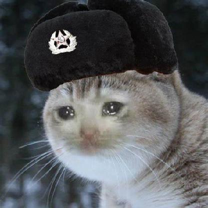 kleingalu's avatar