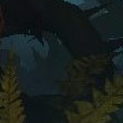 DissonantDaniTTV's avatar