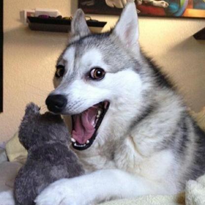 iTzEaZyPeeZy's avatar