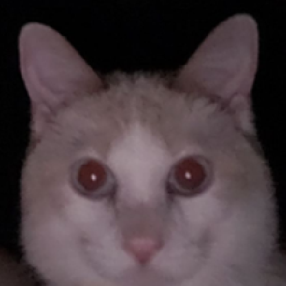 Executii0n's avatar