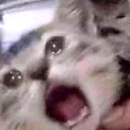 52Chevrolet's avatar