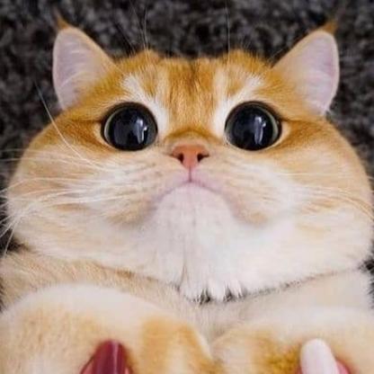 -SAMURAI-1532's avatar