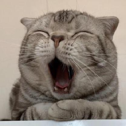 Javaious's avatar