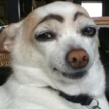 bsmokin1's avatar