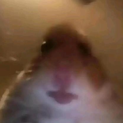 IIIISynnIIII's avatar