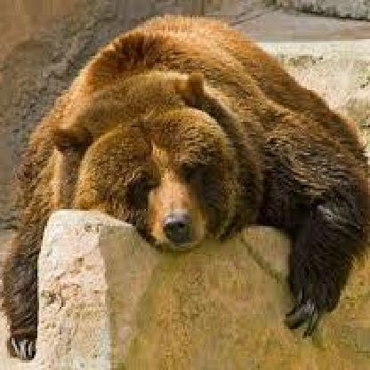 DangurFloof's avatar