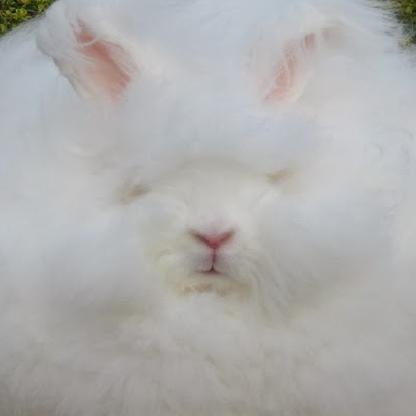 DeepFriedBunny1's avatar