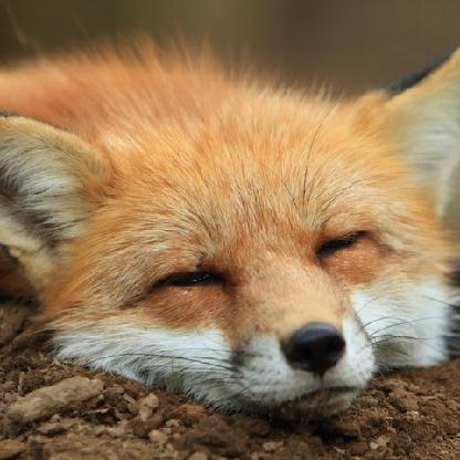 TienHuang_DiaLao's avatar