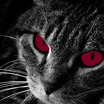 LILDIGGLE's avatar