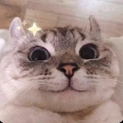 Kampfkeks3010's avatar