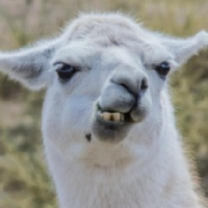 DeadlycuteAlpaca's avatar