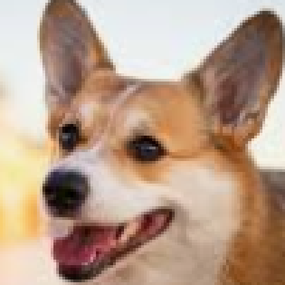 Pan_kruk12's avatar