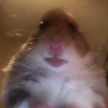 erin123568's avatar