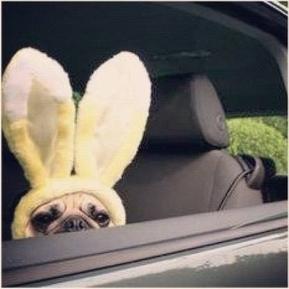 IAmMrJingle's avatar