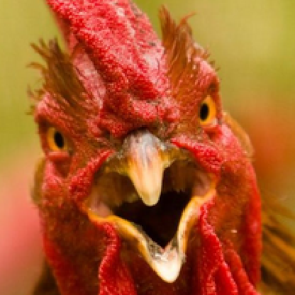 WickederTea557's avatar