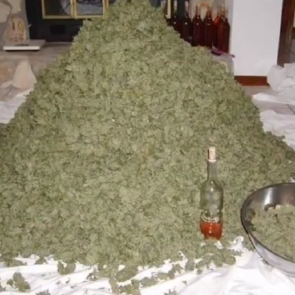 BluntPirate's avatar