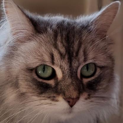 dustygirl68's avatar