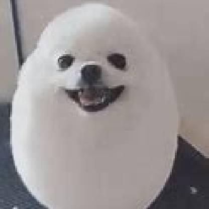 salamykun's avatar