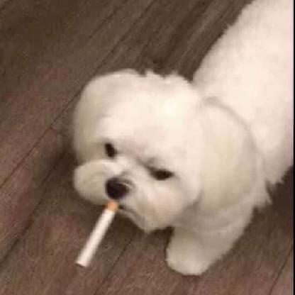 osnnogu's avatar