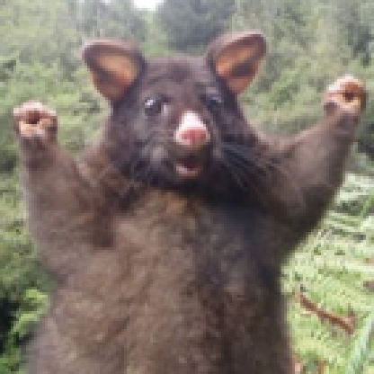 MrFloppyMember's avatar