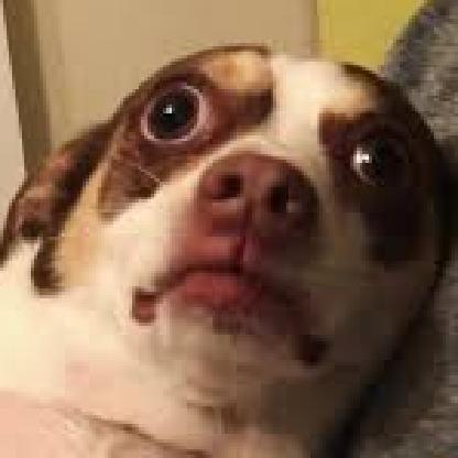 0MRBUBZ0's avatar