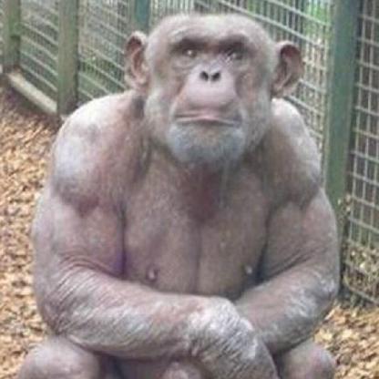 Vold3mortzpubes's avatar
