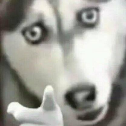 HackerField000's avatar