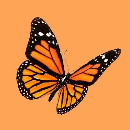 GabeJustice's avatar