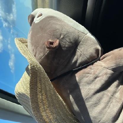 GiveMansHead's avatar