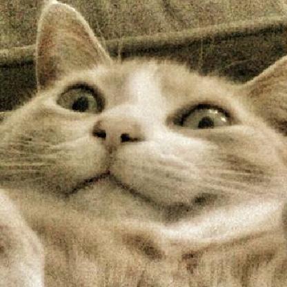 WinterHeckinCat's avatar