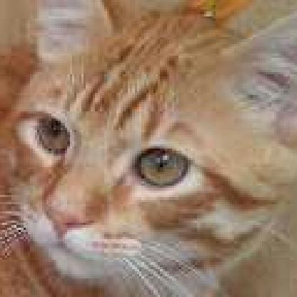 MyRedLips1's avatar