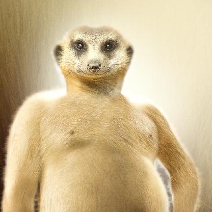 LeBoiteux's avatar