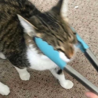 DF42official's avatar