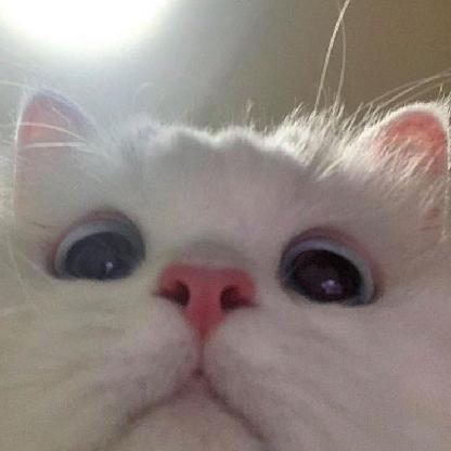 Toobie_xd's avatar