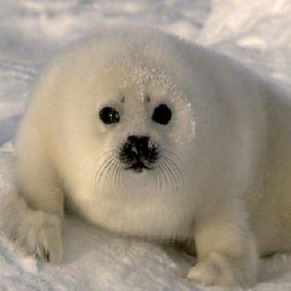 FakeRootslane's avatar