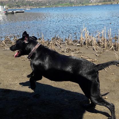 wallyman0822's avatar