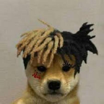 WhyUBulllyMe's avatar