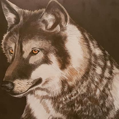 Bexar2204's avatar