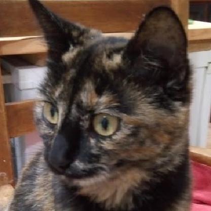 christine8ssims's avatar