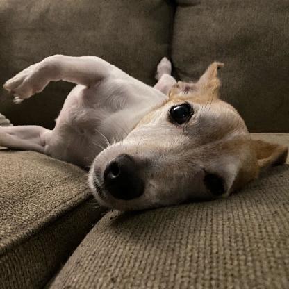 Ezkiller0913's avatar