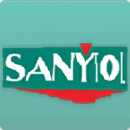 SANYT0L's avatar