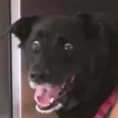 rekt_by_mattisa's avatar