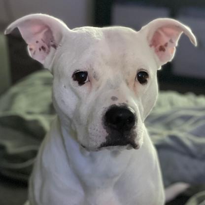 theTexas_20's avatar