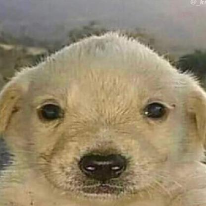 Tudgeyy8's avatar