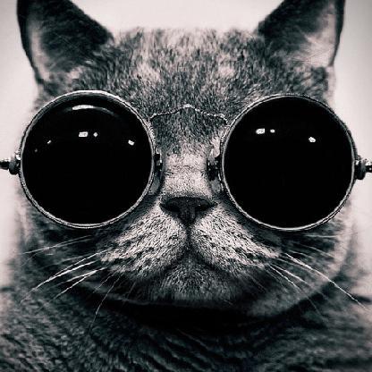 Comradezzzz's avatar